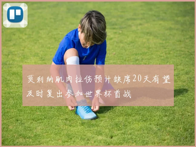 莫利纳肌肉拉伤预计缺席20天有望及时复出参加世界杯首战