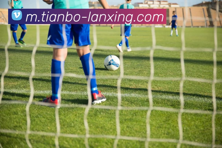 奖项证书